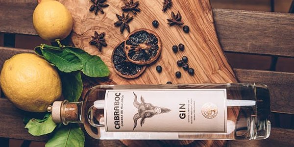 Hero image for the guide 'A Gin Enthusiast's Guide to Mallorca: Local Flavors vs. Global Spirits'