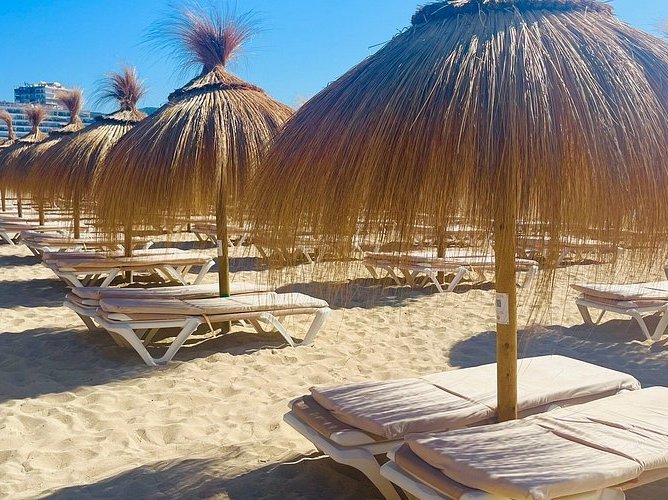 Beach Chairs and Umbrellas
