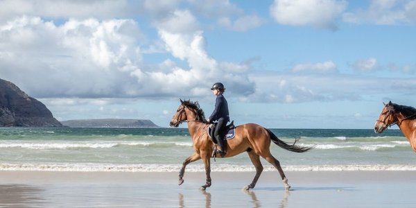 Hero image for the guide 'Gallop Through Paradise: Horseback Riding in Mallorca'