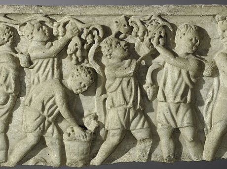 From Guide e818f043-9dbd-46b3-9309-2fd43f1e49f3: Ancient Romans for viticulture