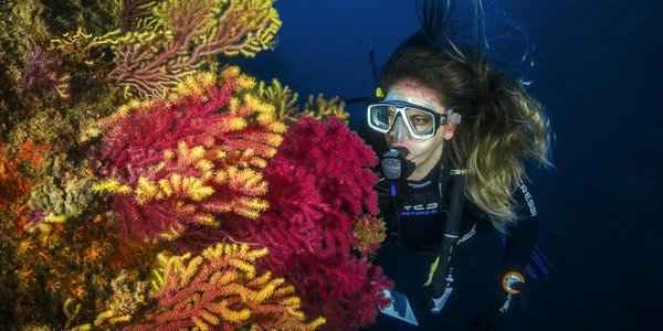 Hero image for the guide 'Discover Mallorca's Underwater Paradise: Top Snorkeling and Scuba Diving Spots'