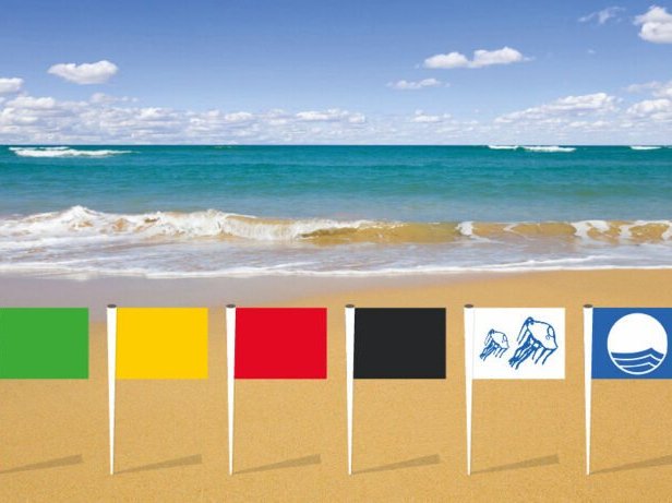Lifeguard Beach Flags