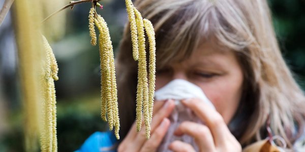 Hero image for the guide 'Breathe Easy in Mallorca: A Comprehensive Guide to Air Quality and Allergens'