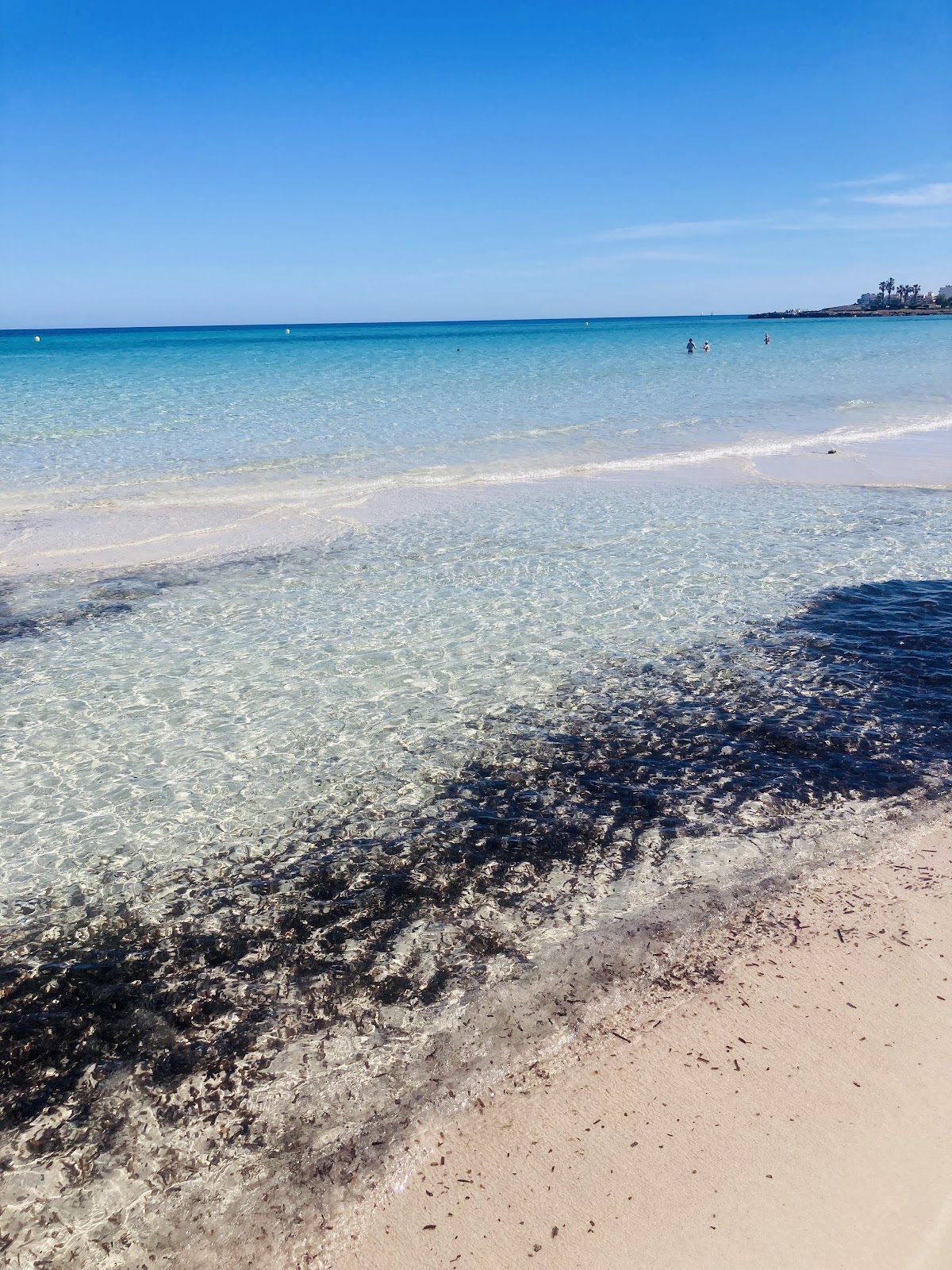 Platja de sa Coma