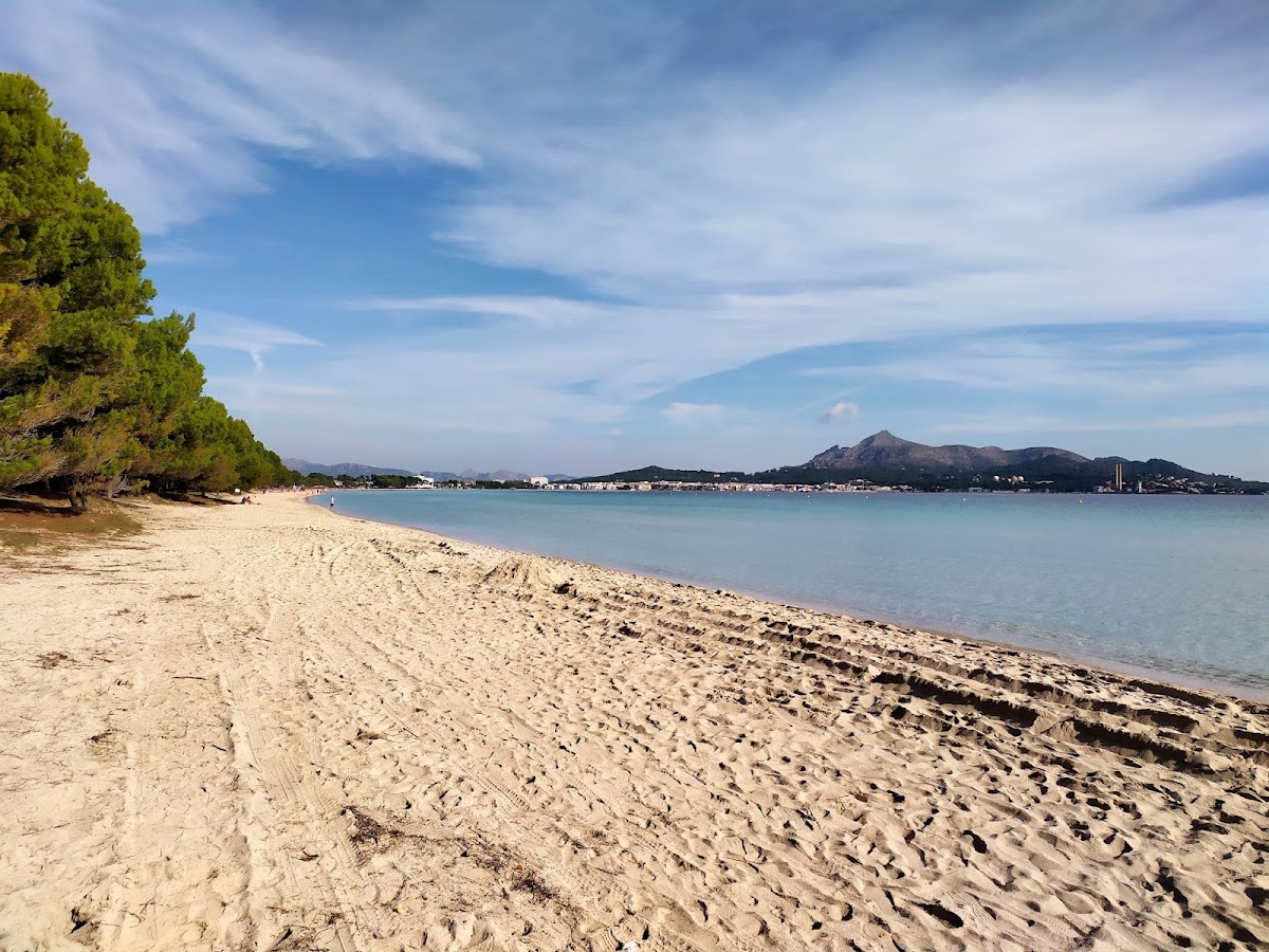 Playa De Los Pinos