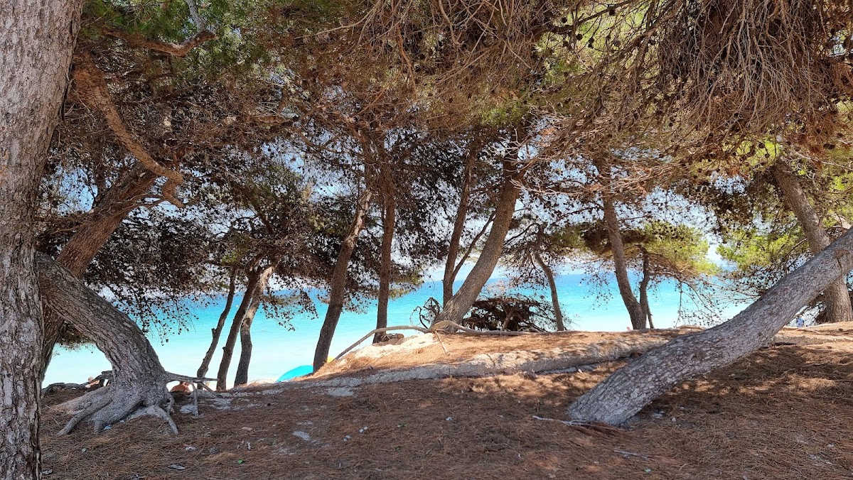 Playa De Los Pinos