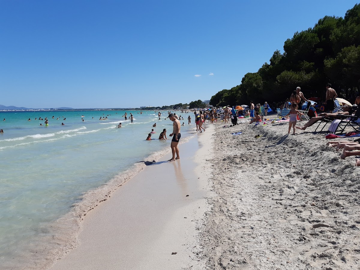 Playa De Los Pinos
