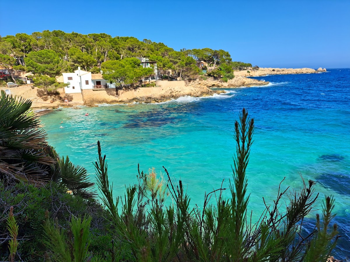 Platja de Cala Gat