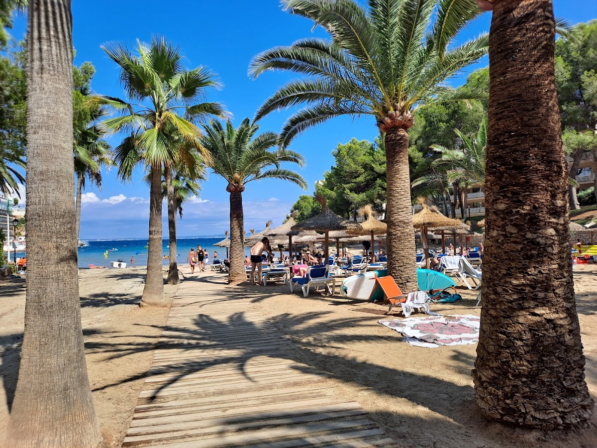 Cala Vinyes Beach