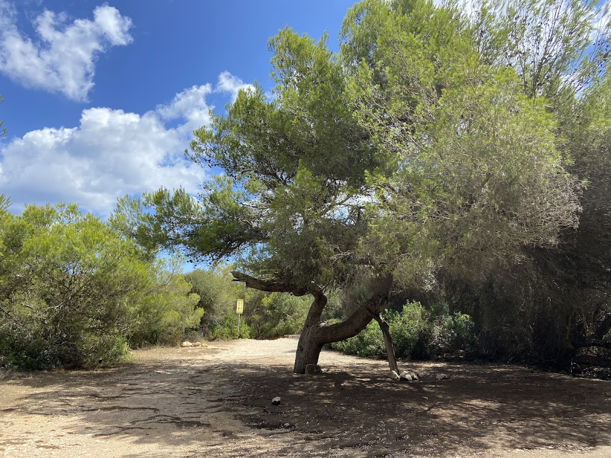 Cala Magraner