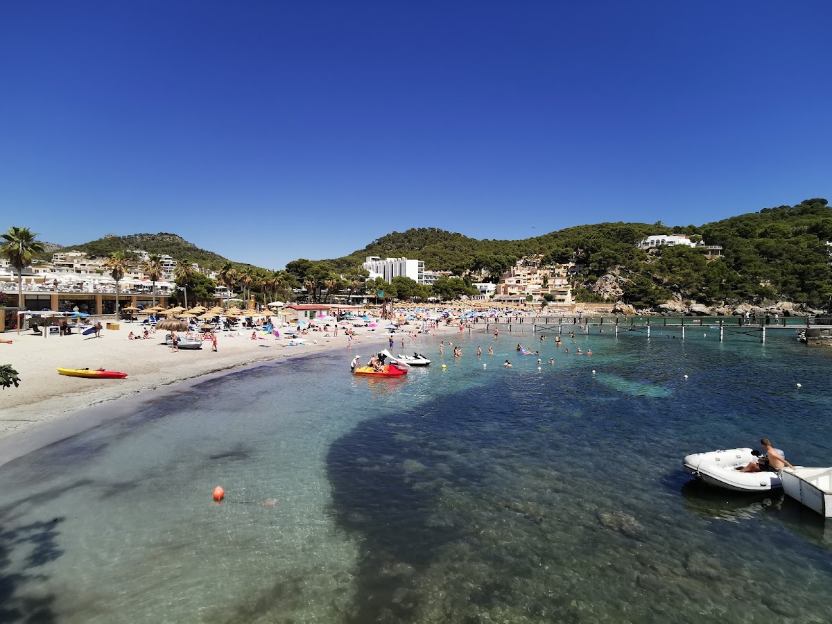 Platja de Camp de Mar
