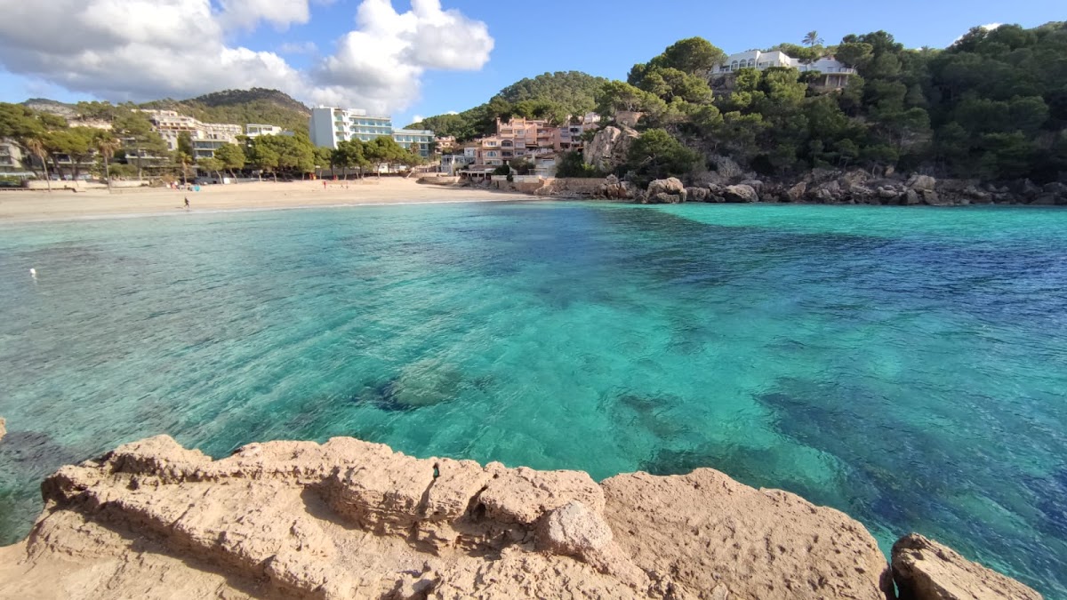 Platja de Camp de Mar