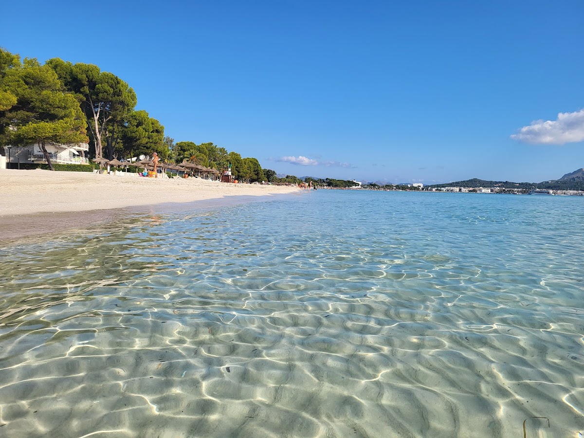 Platja d'Alcudia