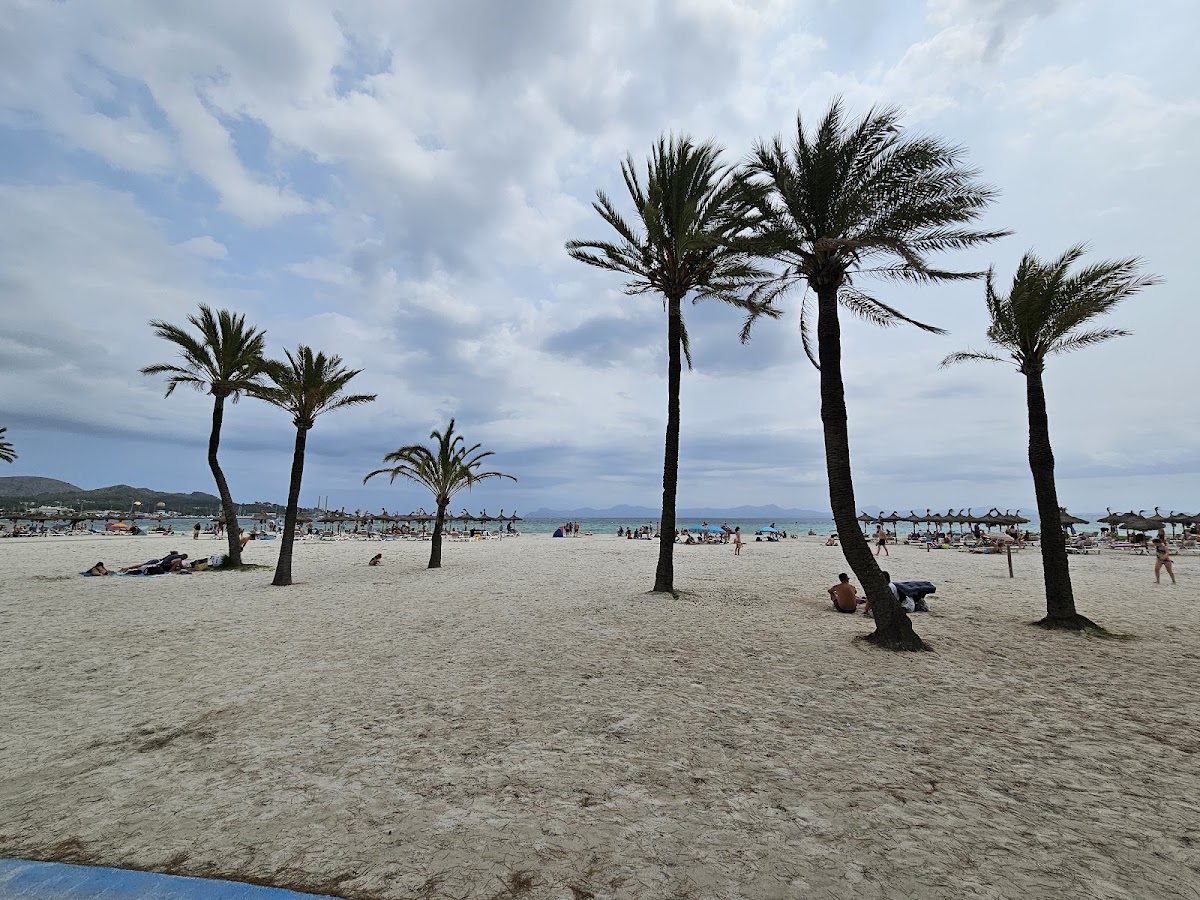 Platja d'Alcudia