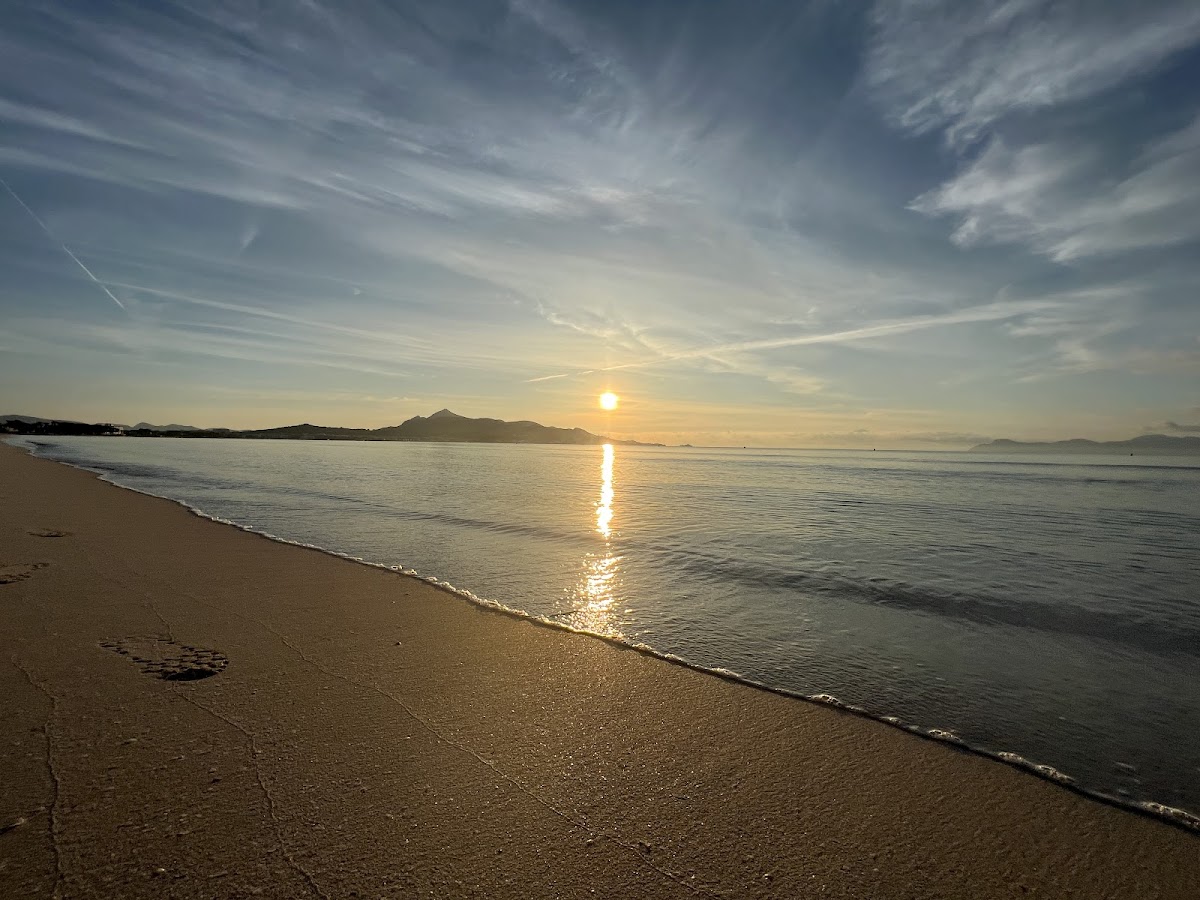 Platja d'Alcudia