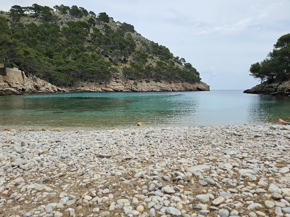 Cala Murta