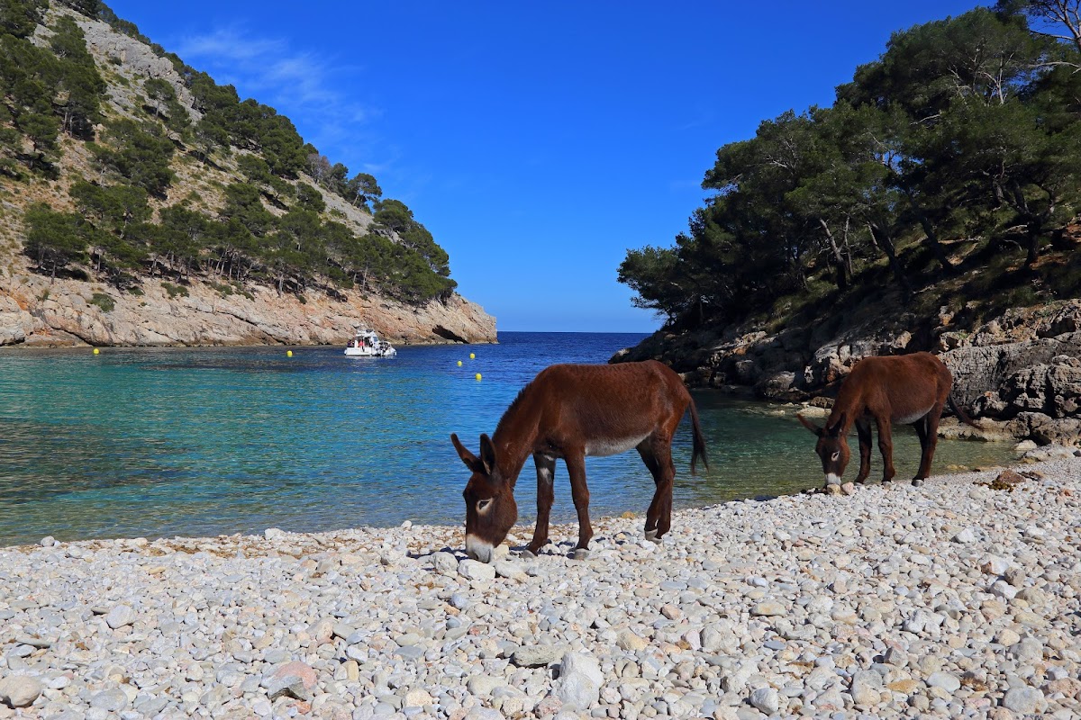 Cala Murta