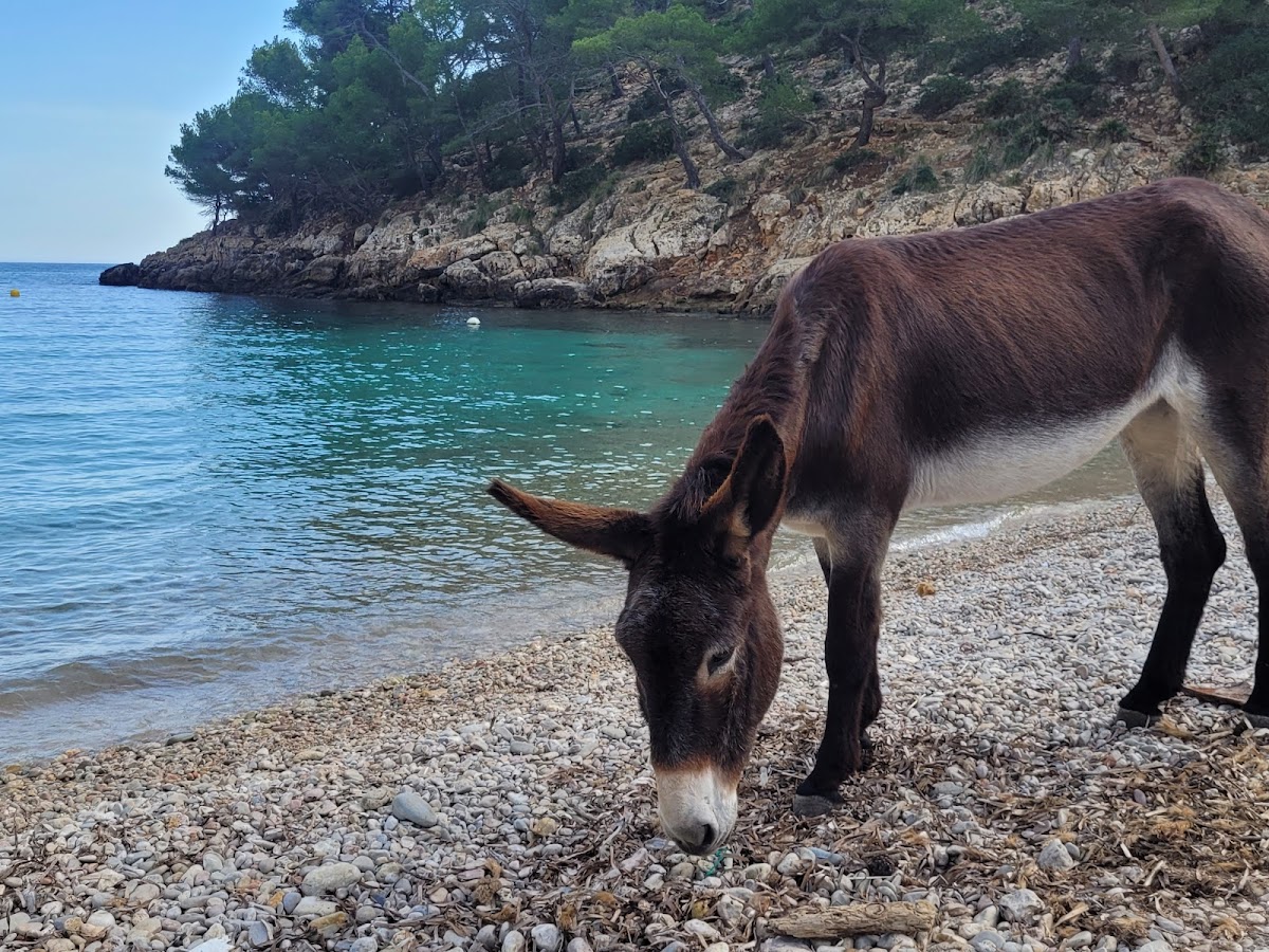 Cala Murta