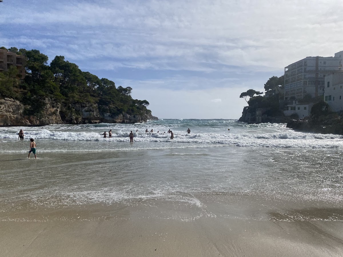 Cala Gran Santanyí