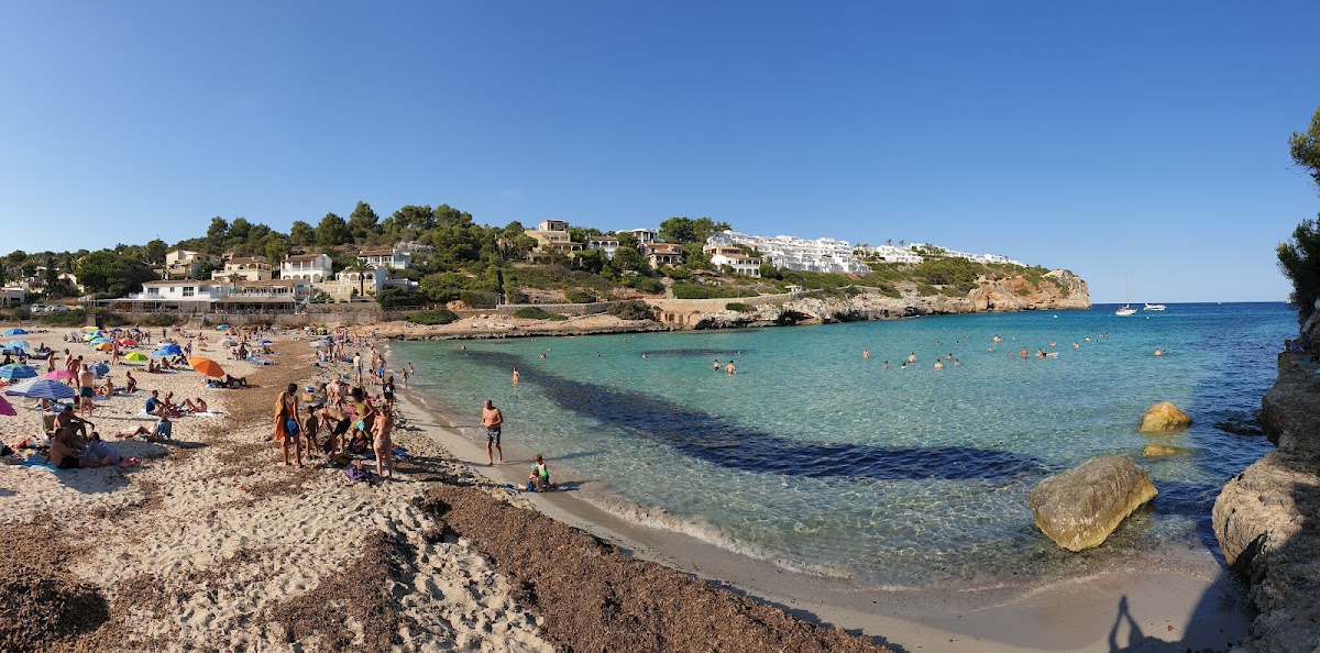 CALA Estany d'en Mas