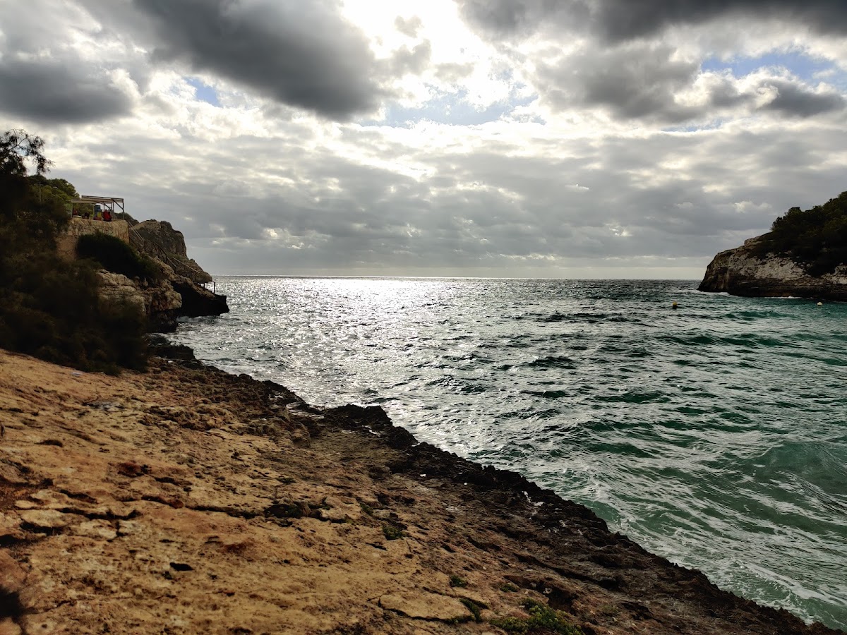 CALA Estany d'en Mas