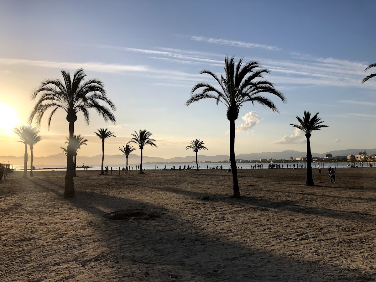 Playa S' Arenal
