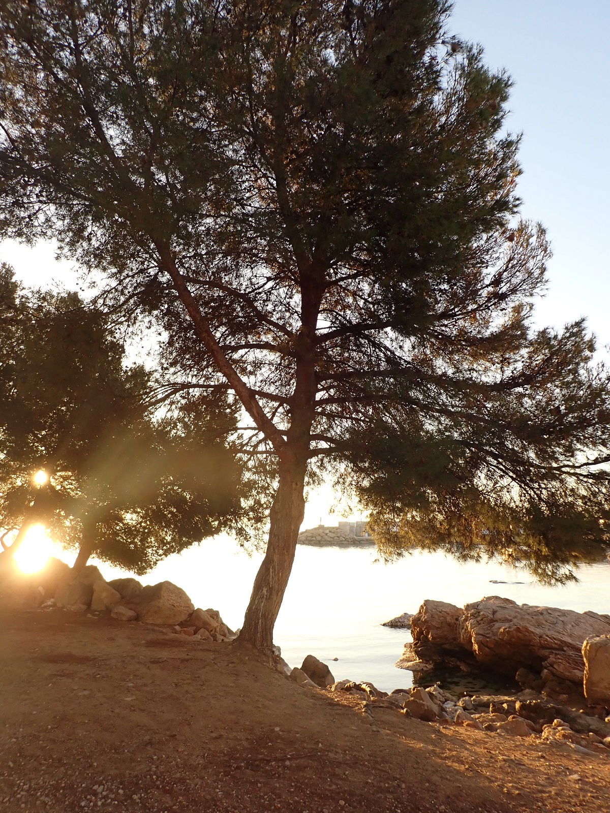 Platja Cala Nova, Sant Agustí
