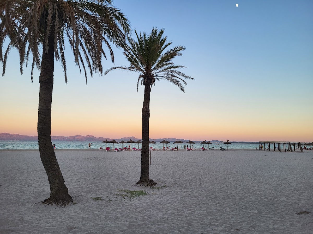 Platja d'Alcúdia