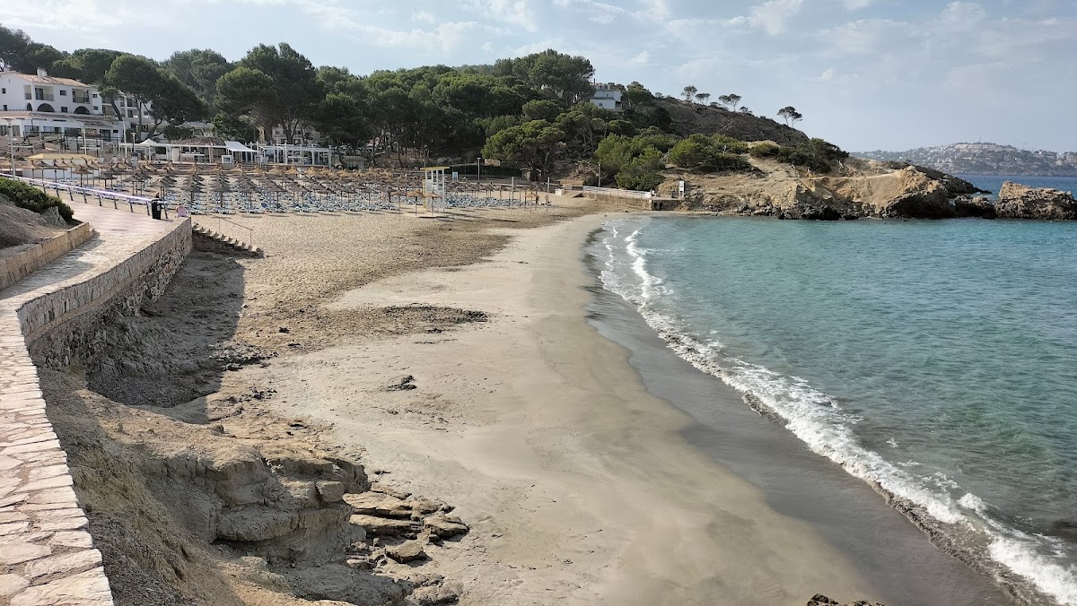 Platja de la Romana