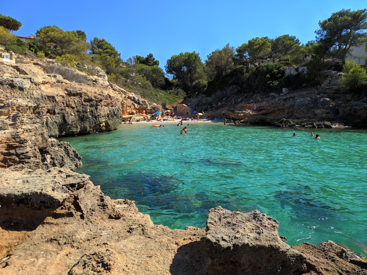 Platja Punta de ses Punxes