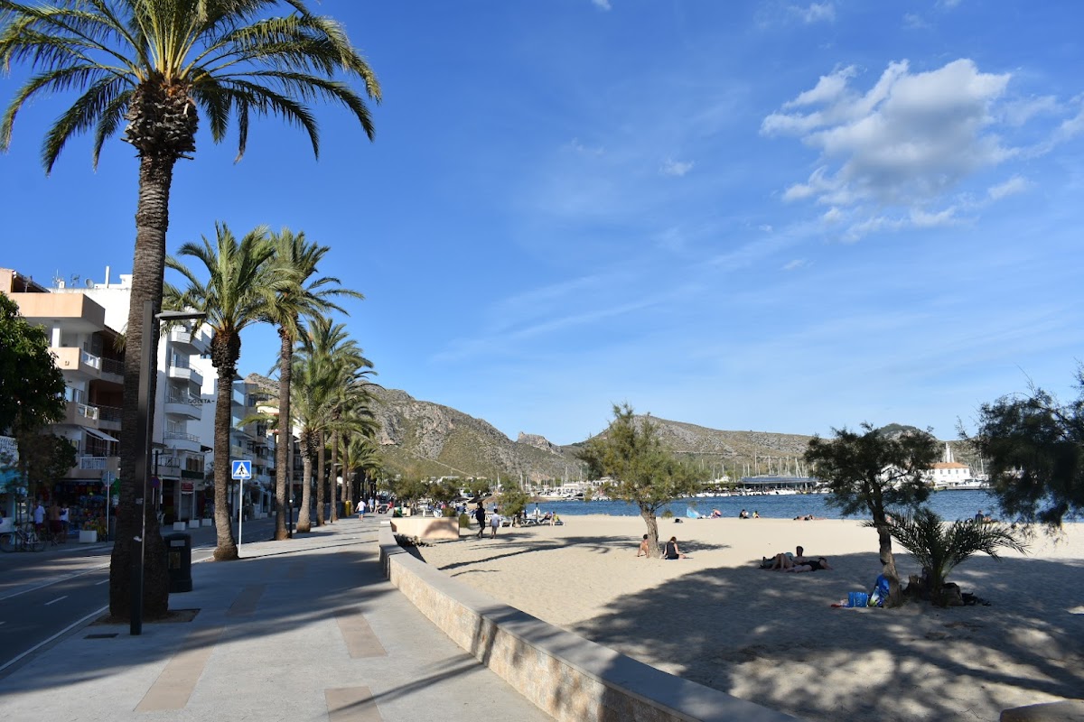 Playa Pollença