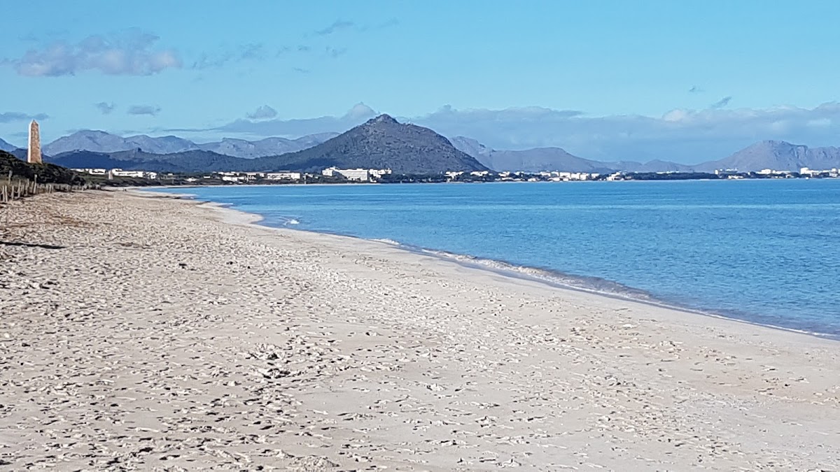 Playa Pollença