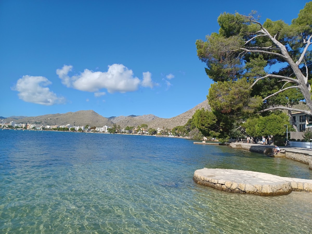 Playa Pollença