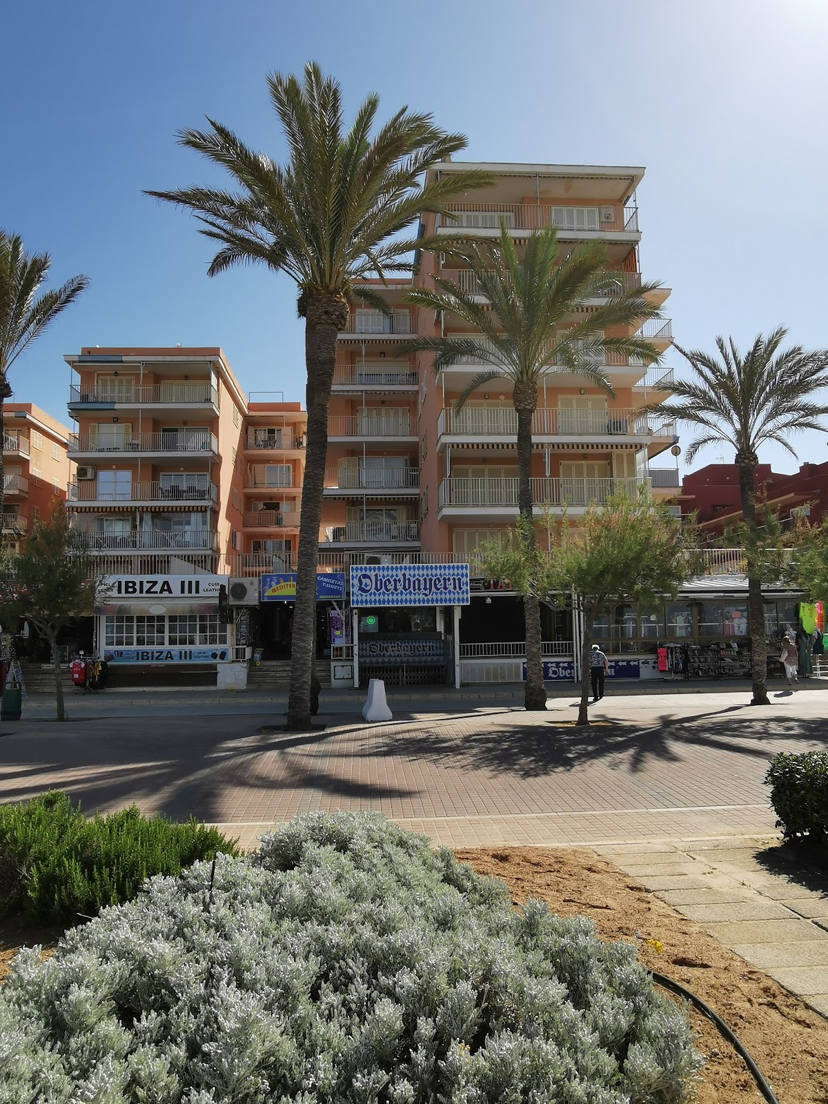 Playa del Arenal