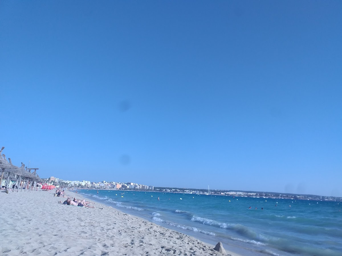 Playa del Arenal