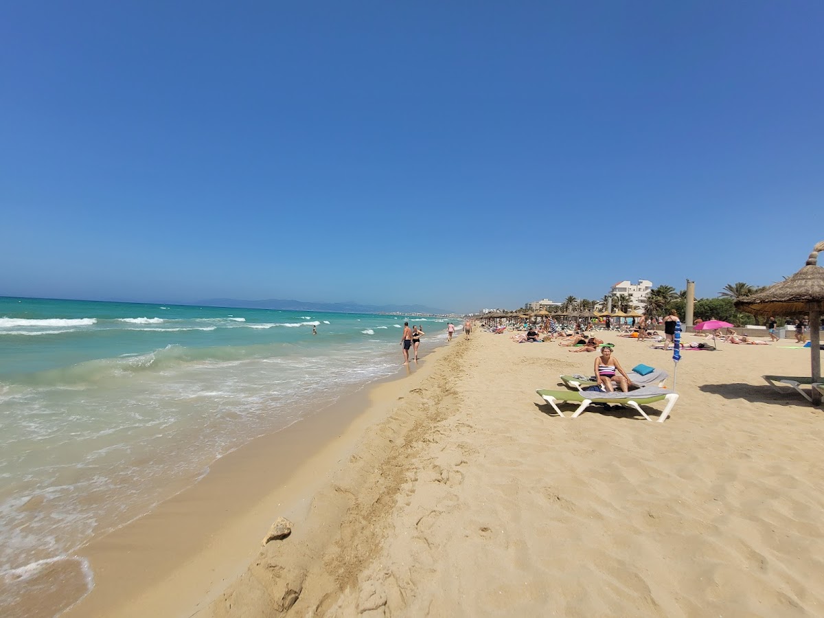 Playa del Arenal