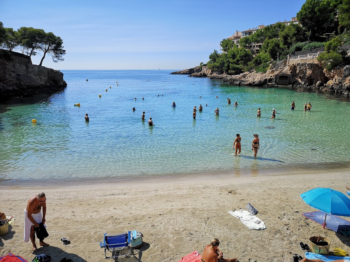 Portals Nous Beach