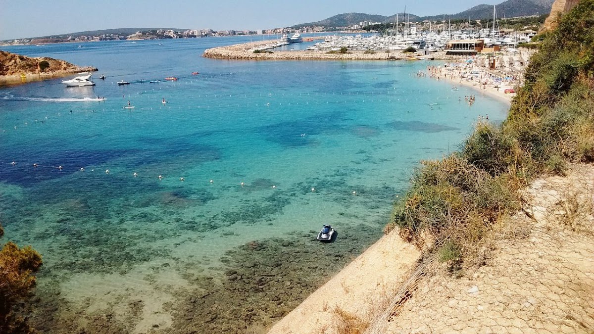 Portals Nous Beach