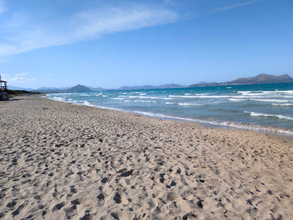 Ponderosa Beach