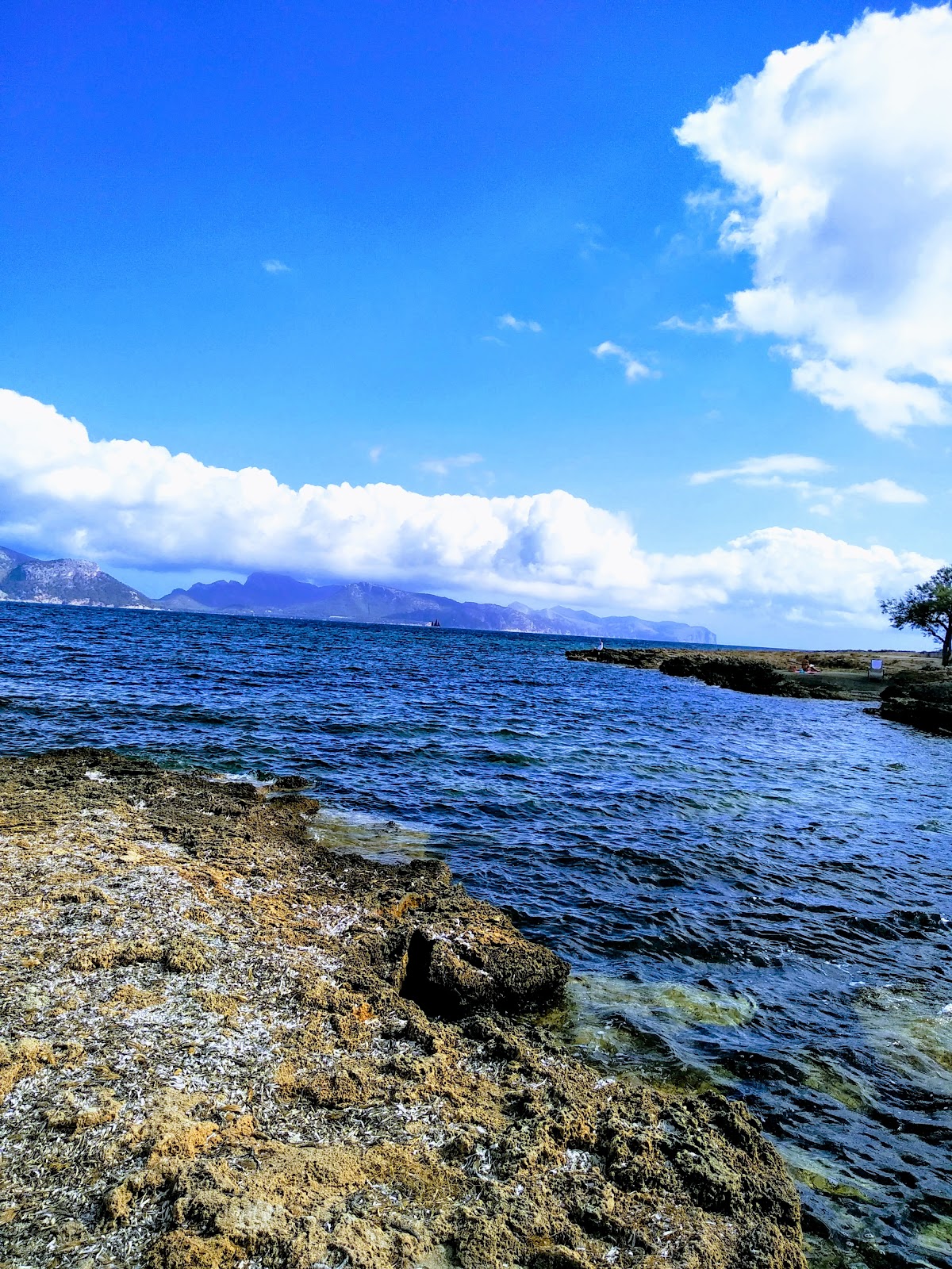 Platja del Clot