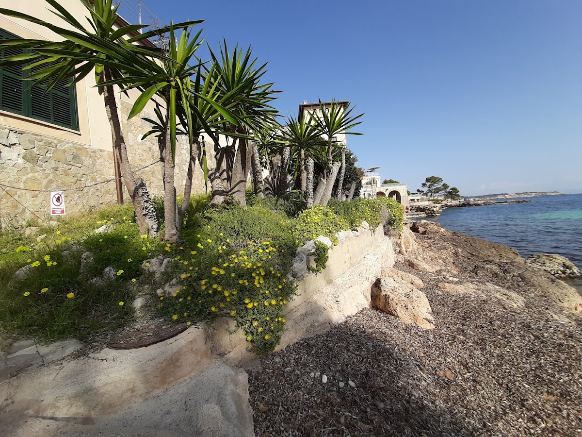 Platja Cas Català Calvià