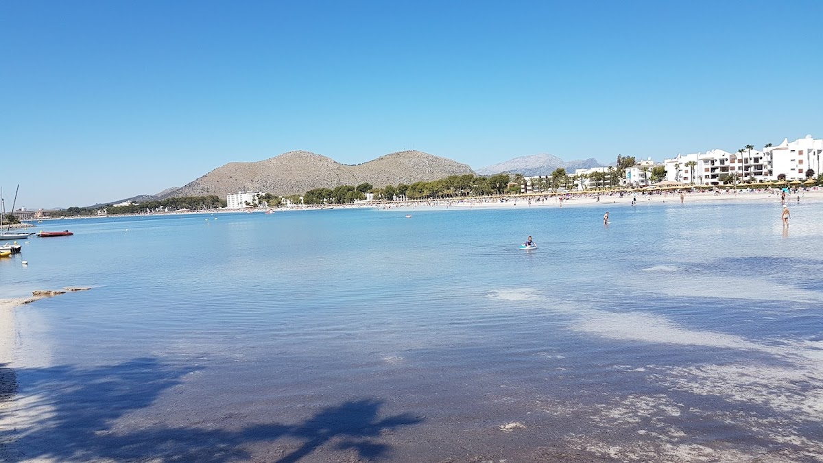 Alcudia beach