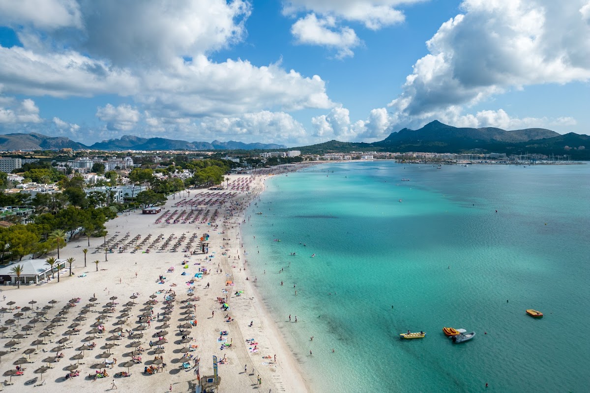 Alcudia beach