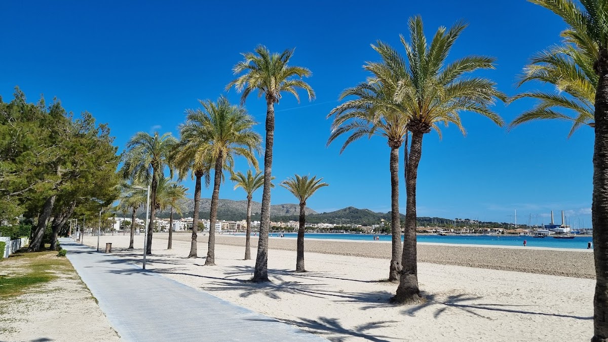 Alcudia beach