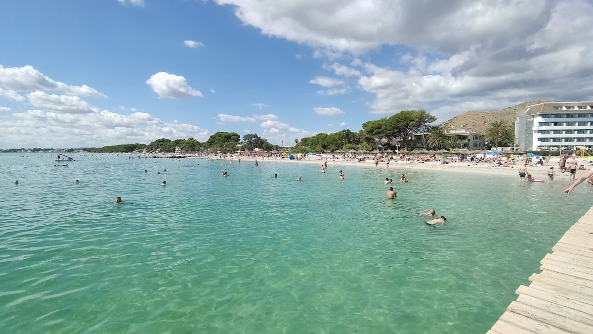 Alcudia beach