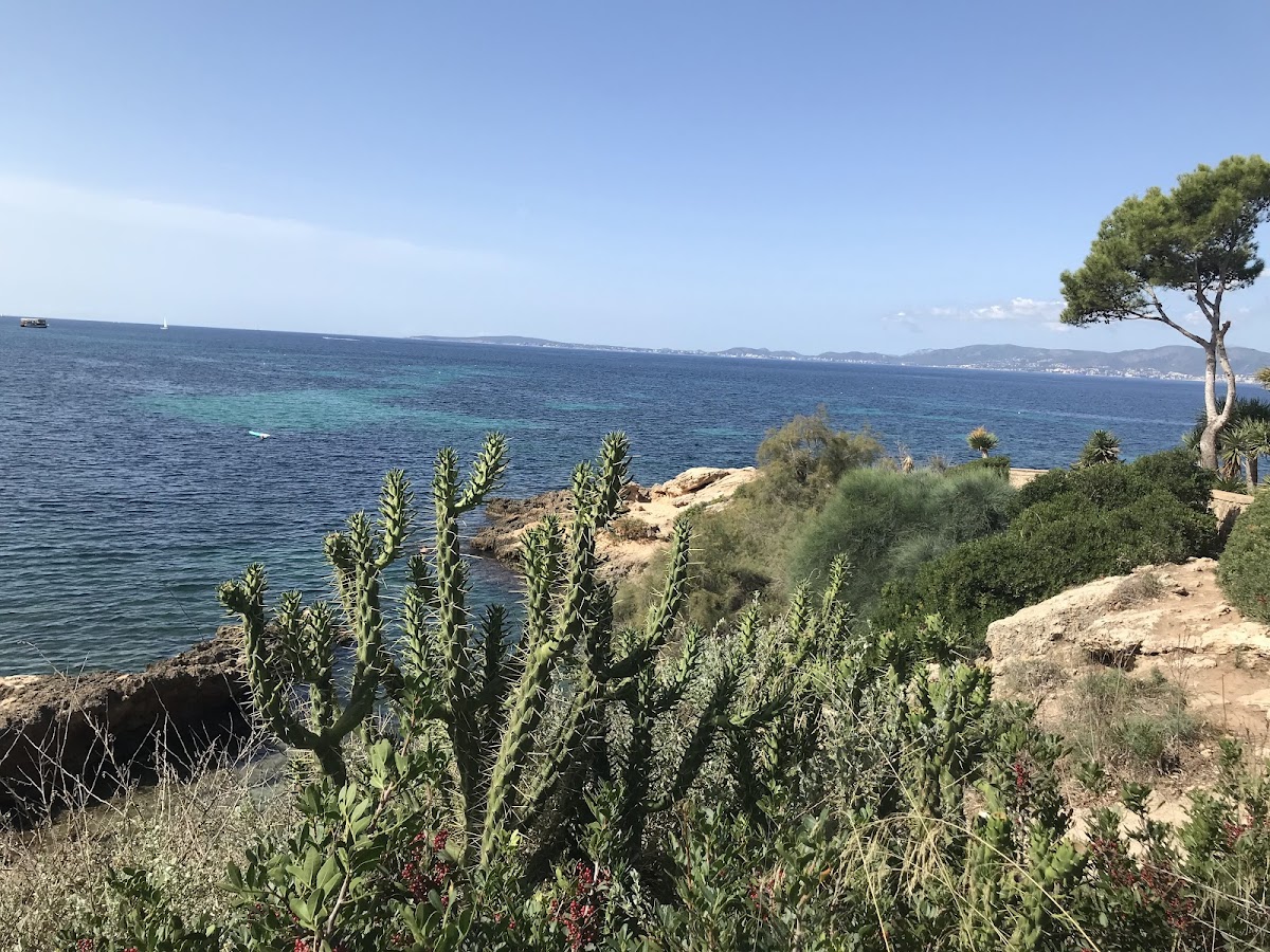 Sa Pesquera Plana