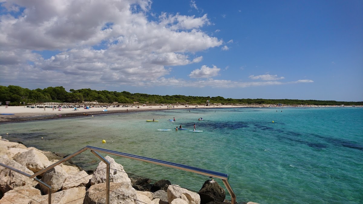 Arenal de Sa Ràpita