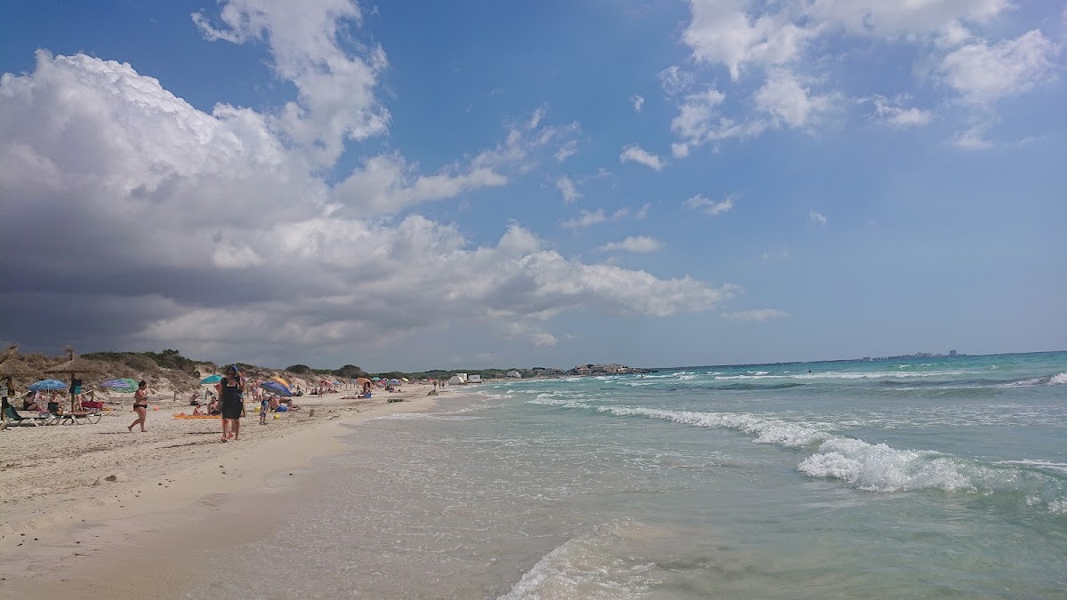 Arenal de Sa Ràpita