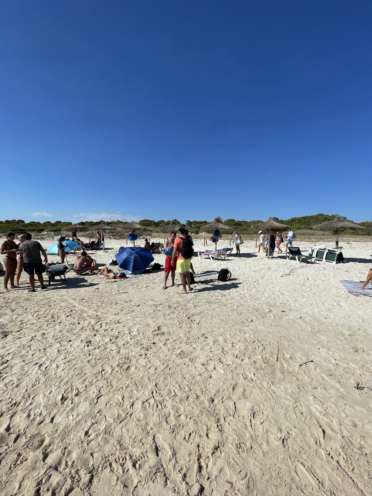 Arenal de Sa Ràpita