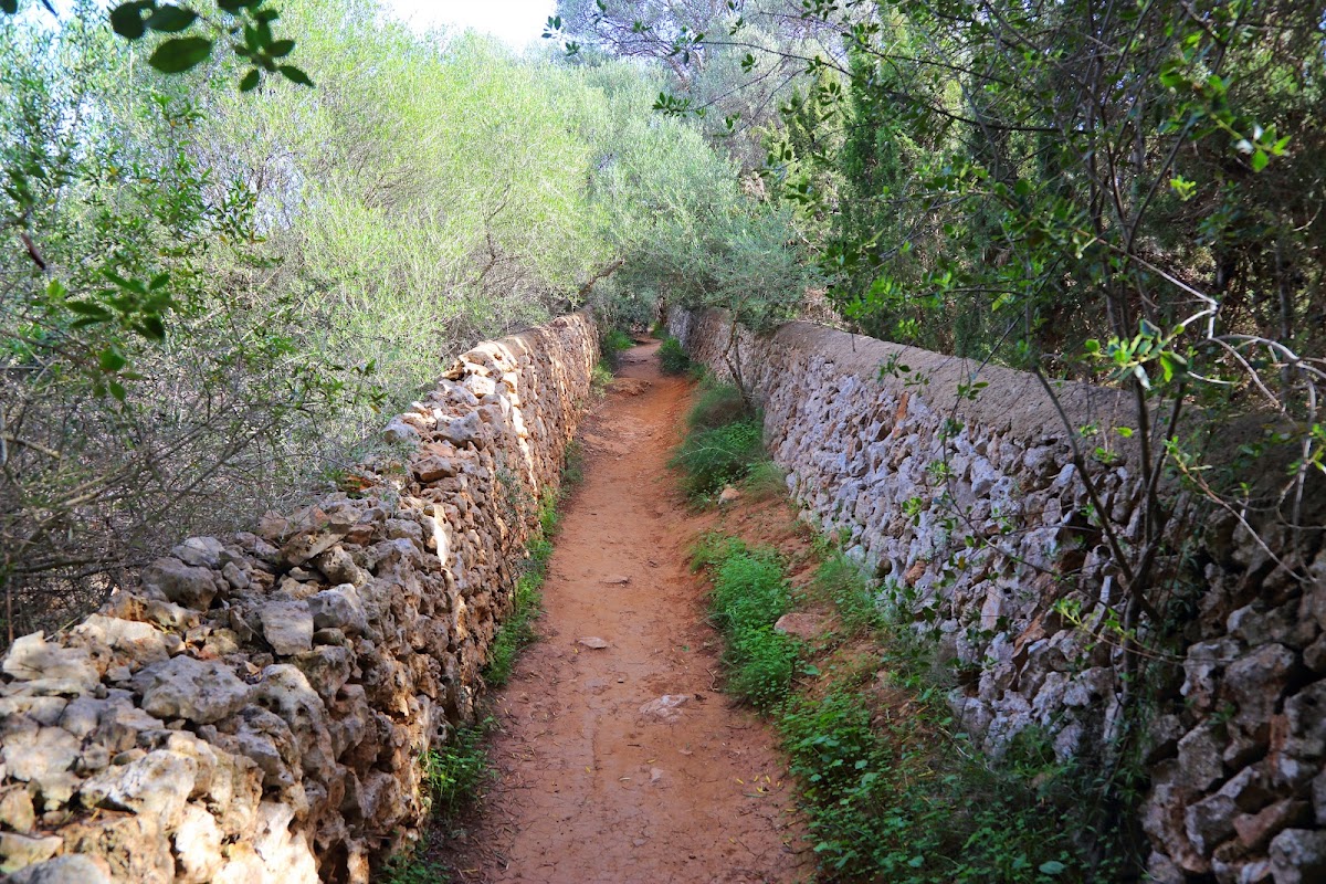 Cala Brafi